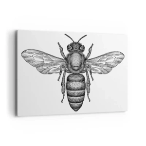 Quadro em tela - Retrato de um inseto - 120x80 cm