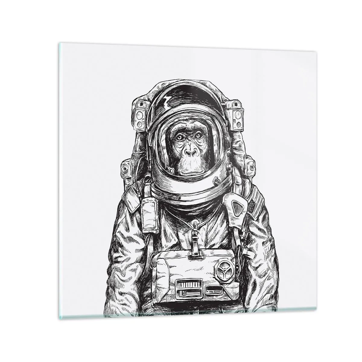 Quadro em vidro - Evolução alternativa - 30x30 cm