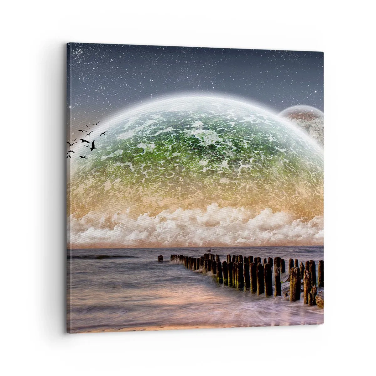 Quadro em tela - E o mundo emergiu da água - 60x60 cm