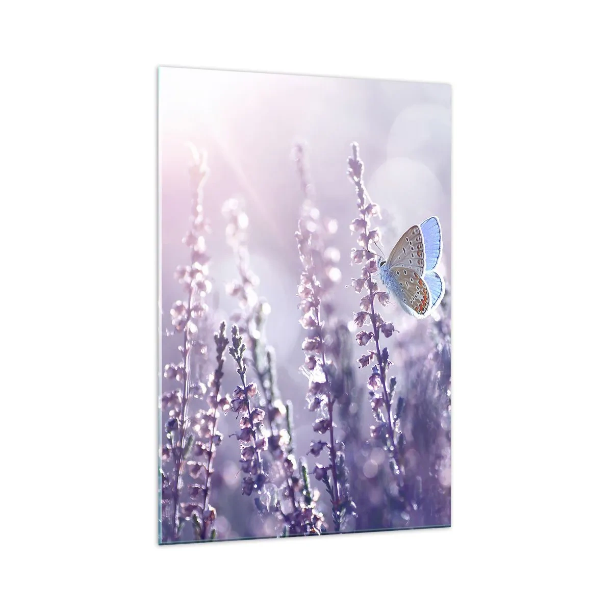 Quadro em vidro - O beijo da borboleta - 70x100 cm