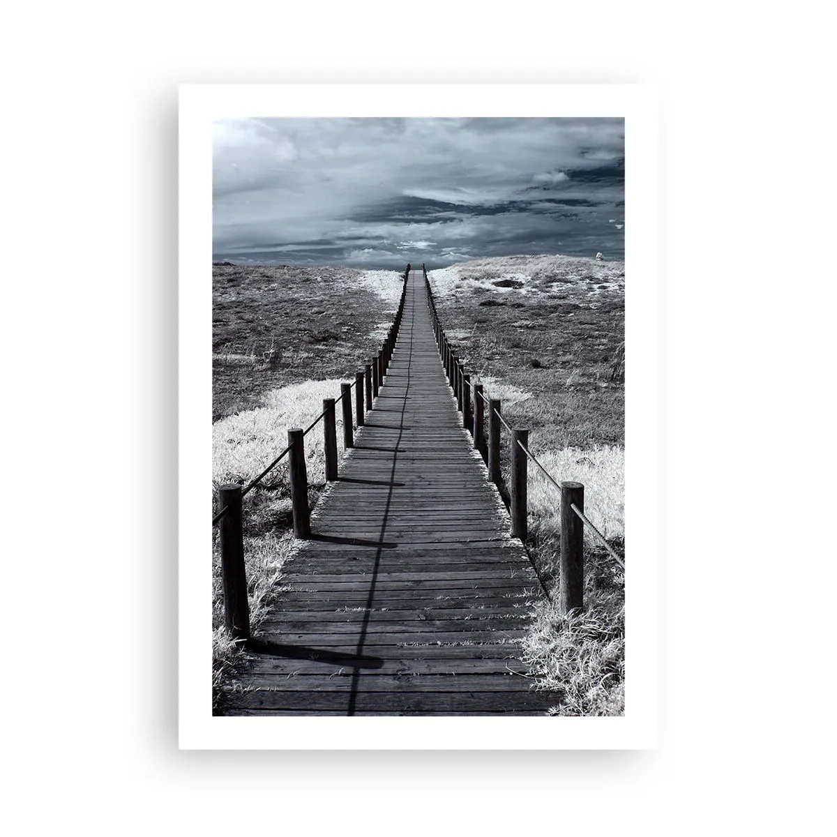 Pôster - Direto para a costa - 50x70 cm