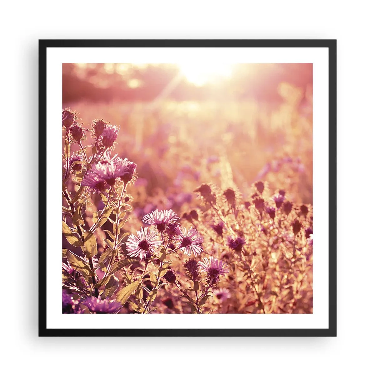 Pôster com moldura preta - Antes do verão acabar - 60x60 cm