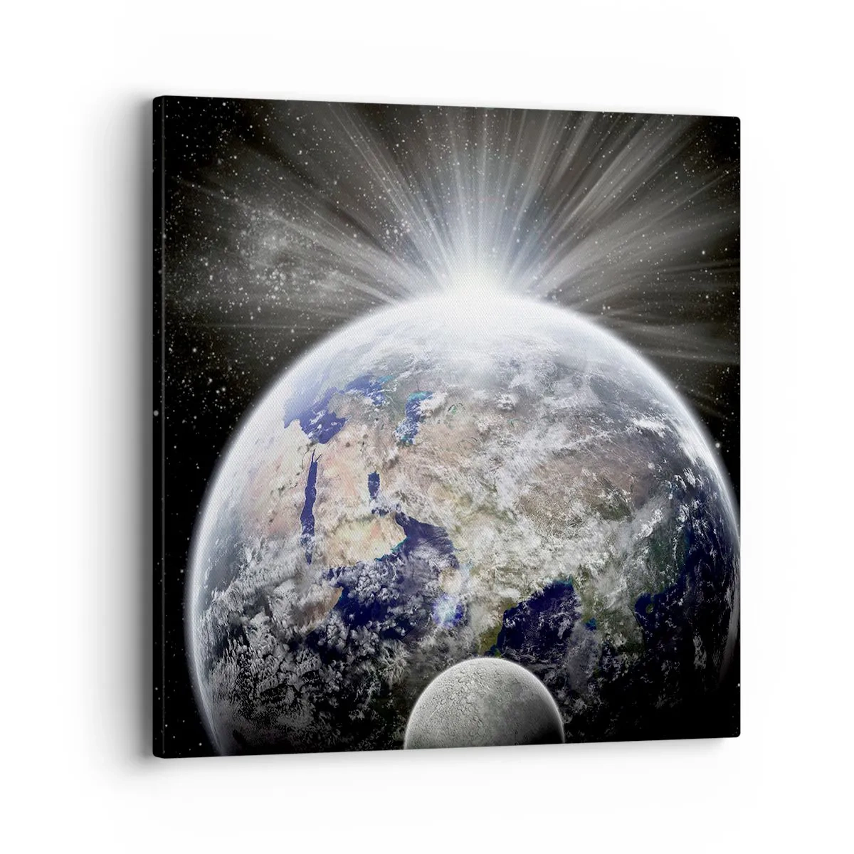 Quadro em tela - Em pleno esplendor - 40x40 cm