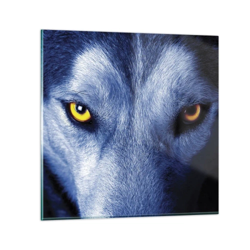 Quadro em vidro - Olhar hipnotizante - 30x30 cm