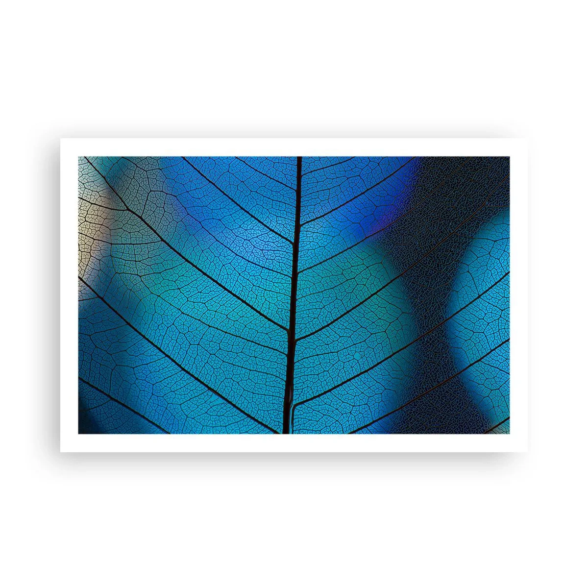 Pôster - Construção complexa - 91x61 cm