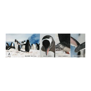 Amostra de papel de parede Premium Sand - Dança na neve - Pinguim, Antártica, Paisagem - 100x30 cm