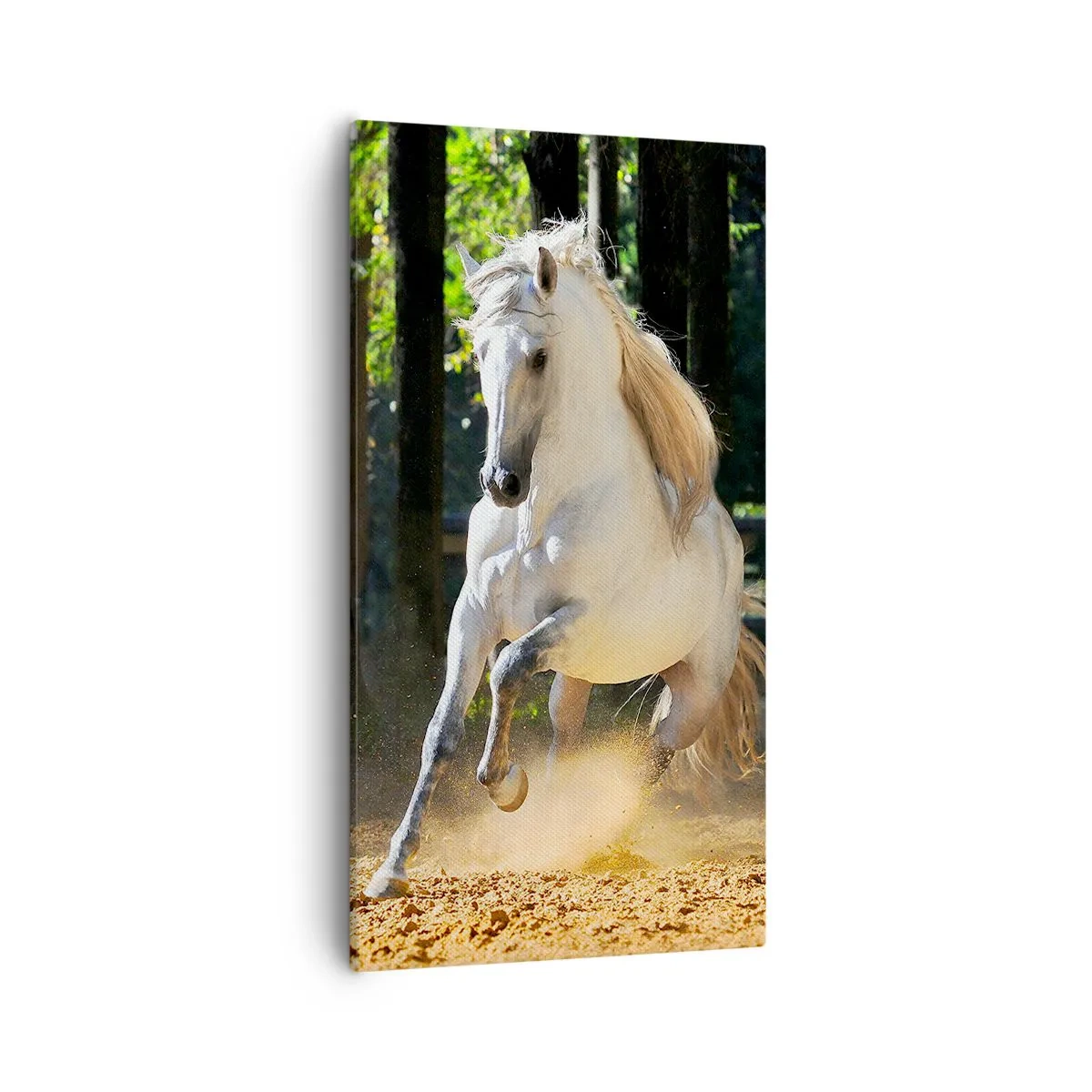 Quadro em tela - Como de um romance de fantasia - 55x100 cm