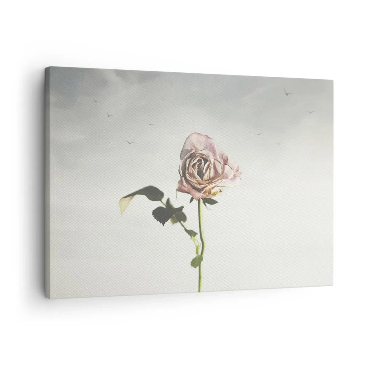 Quadro em tela - Uma rosa delicada contra um céu brilhante com pássaros voando - 70x50cm - Boas-vindas da primavera  - Decoração de parede moderna para a sala de estar e quarto ARTTOR