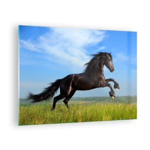 Quadro em vidro - Um cavalo preto galopando contra um céu azul e um prado verde. - 70x50cm - Um manifesto emocionante de liberdade  - Decoração de parede moderna para a sala de estar e quarto ARTTOR