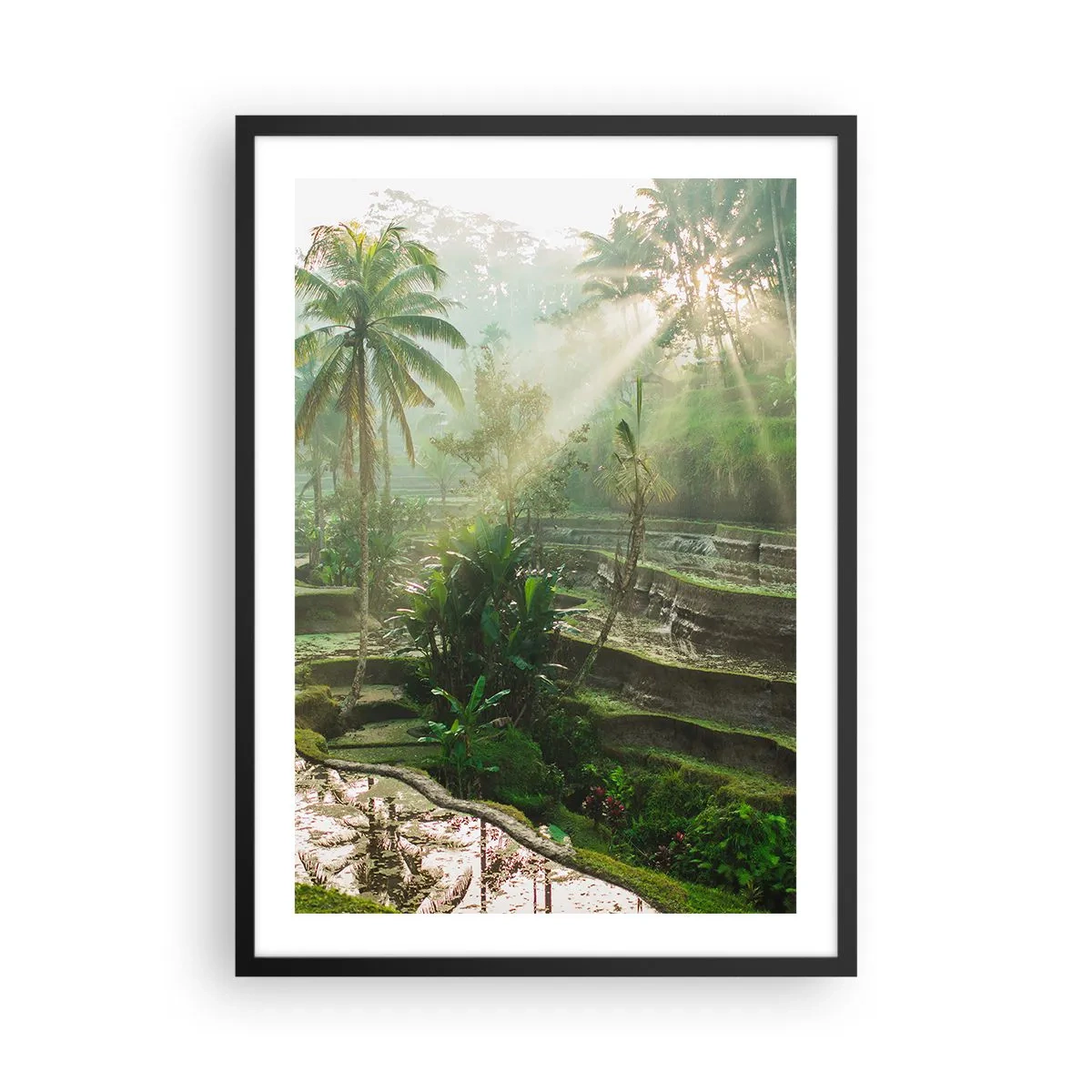 Pôster com moldura preta - Paisagem tropical com terraços de arroz e sol - 50x70cm - Crescer ao sol - Decoração de parede moderna para a sala de estar e quarto ARTTOR