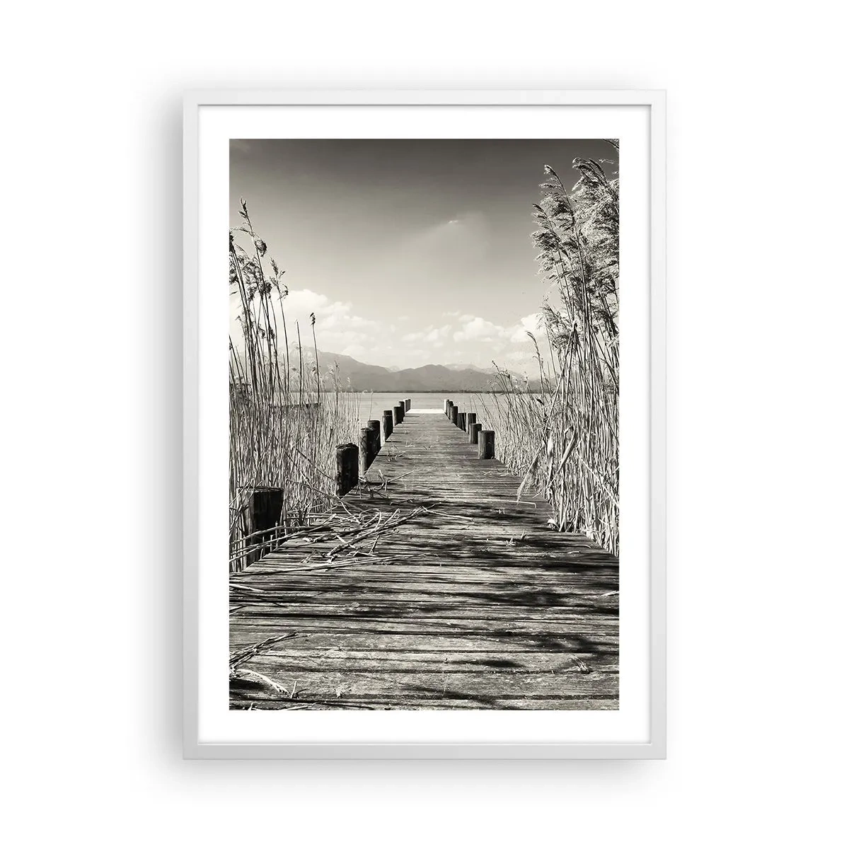 Pôster em moldura branca - No silêncio da relva - 50x70 cm