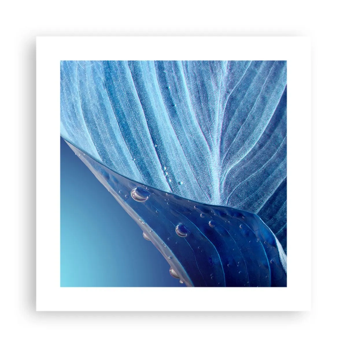 Pôster - Gotas escondidas no azul - 40x40 cm
