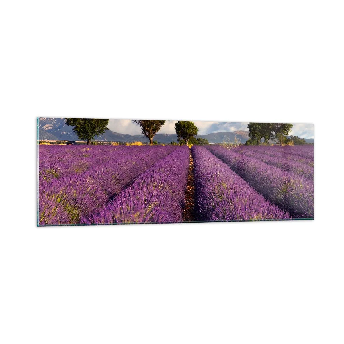 Quadro em vidro - Prados de lavanda - 90x30 cm
