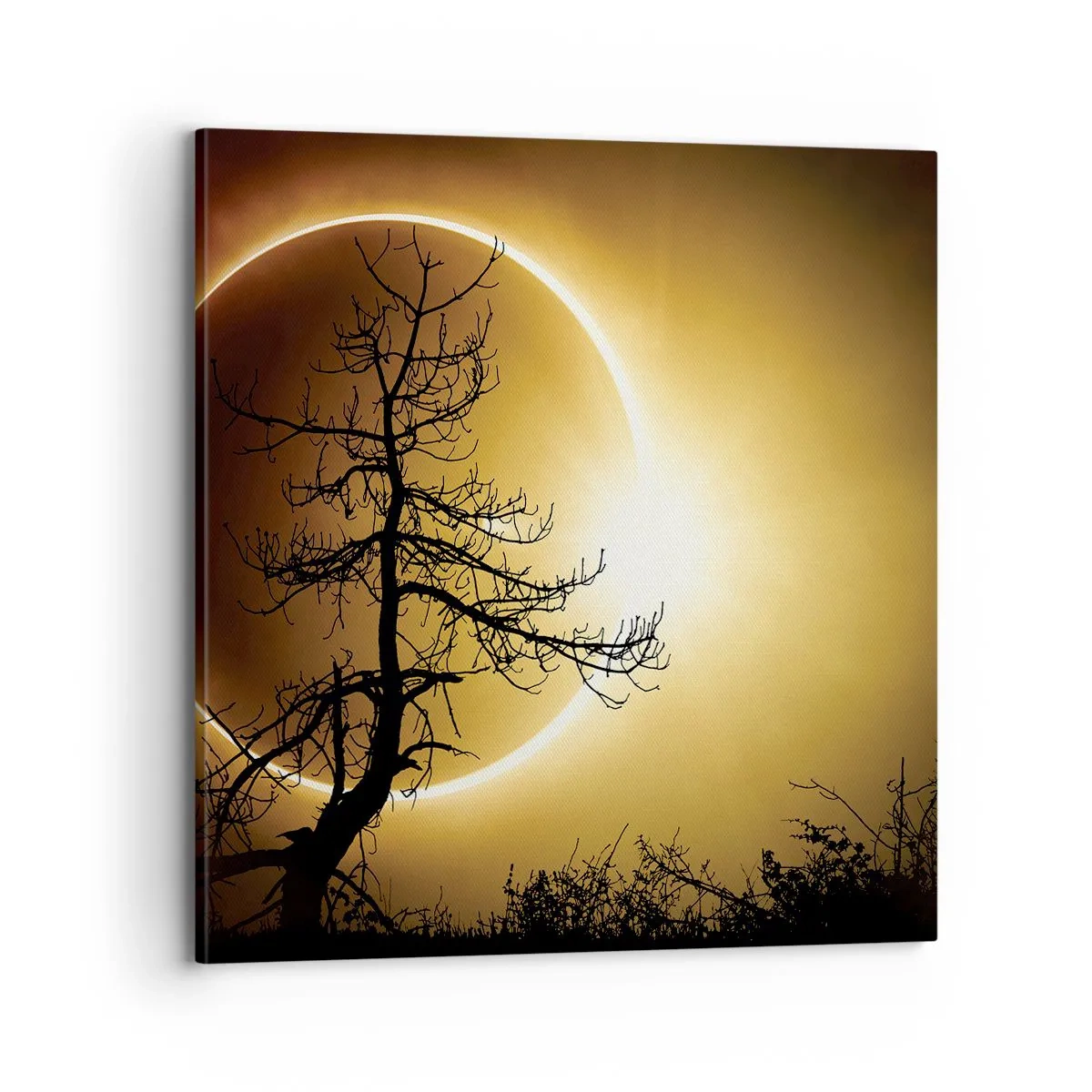 Quadro em tela - Eclipse total - 70x70 cm