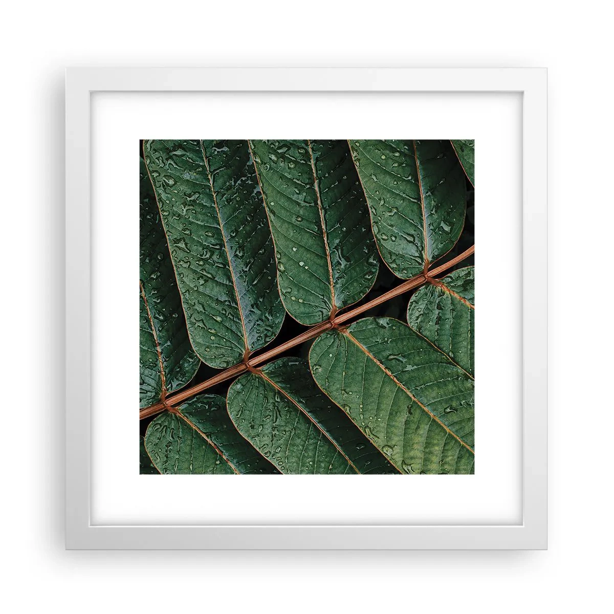 Pôster em moldura branca - Num ritmo verde - 30x30 cm