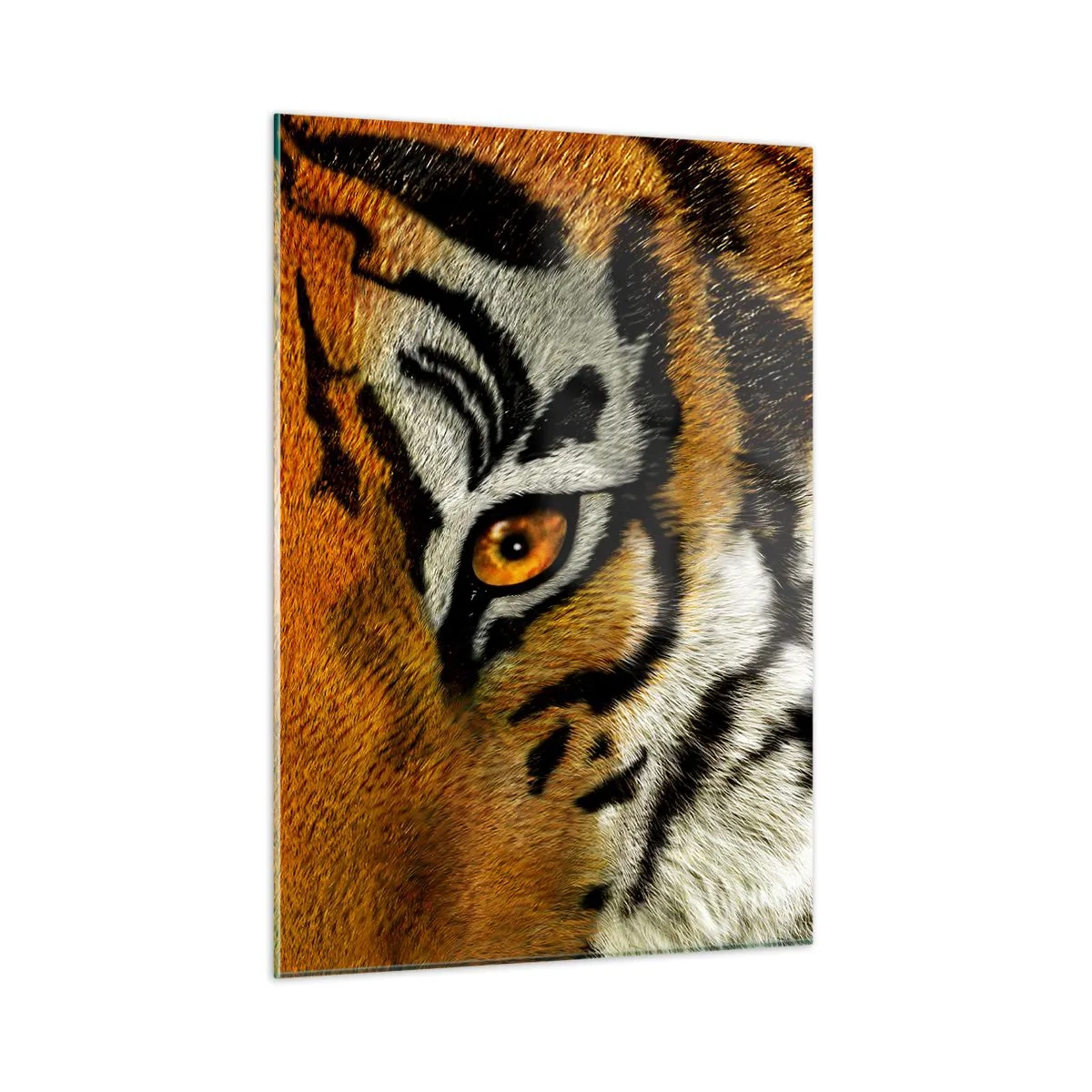Quadro em vidro - Perigoso e bonito - 50x70 cm
