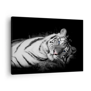 Quadro em tela - Um tigre branco artisticamente representado sobre um fundo preto - 70x50cm - Selvagem e tranquilo - Decoração de parede moderna para a sala de estar e quarto ARTTOR