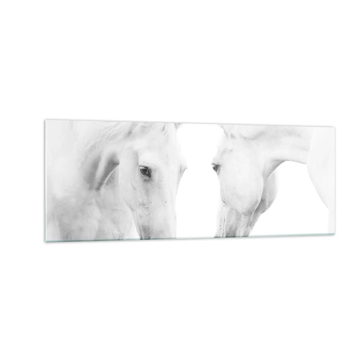 Quadro em vidro - Será amizade...? - 140x50 cm