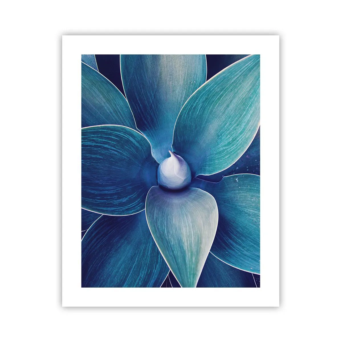 Pôster - O azul do céu - 40x50 cm