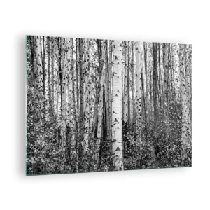 Quadro em vidro - Bétulas pretas e brancas criam uma paisagem florestal densa - 70x50cm - Colunata de bétula - Decoração de parede moderna para a sala de estar e quarto ARTTOR