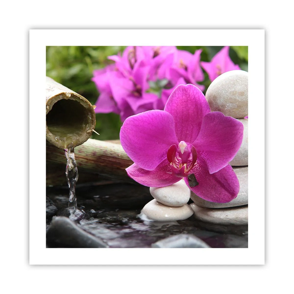 Pôster - Descanso imediato - 50x50 cm