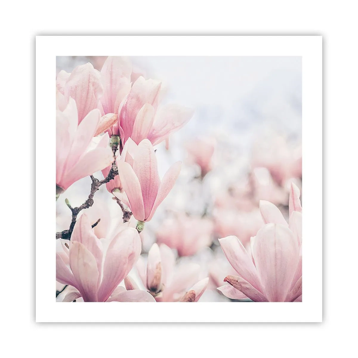 Pôster - O ideal da subtileza - 50x50 cm