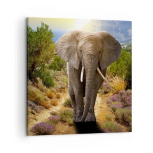 Quadro em tela - Assim era o Éden - 50x50 cm