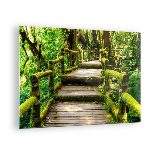 Quadro em vidro - Um caminho de madeira em uma floresta verde coberta de musgo - 70x50cm - Corredor de vegetação - Decoração de parede moderna para a sala de estar e quarto ARTTOR