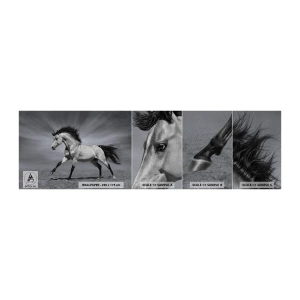 Amostra de papel de parede Premium Sand - Nascido para encantar - Animais, Cavalo, Natureza - 100x30 cm