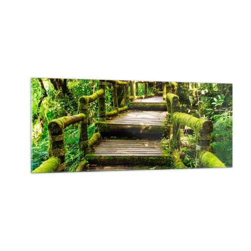 Quadro em vidro - Corredor de vegetação - 100x40 cm