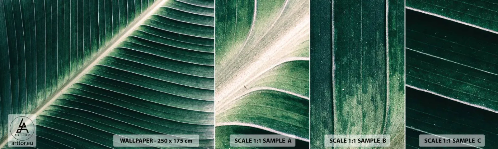 Amostra de Papel de Parede Standard Eco - O ritmo da natureza - Abstração, Folha verde, Gráficos - 100x30 cm