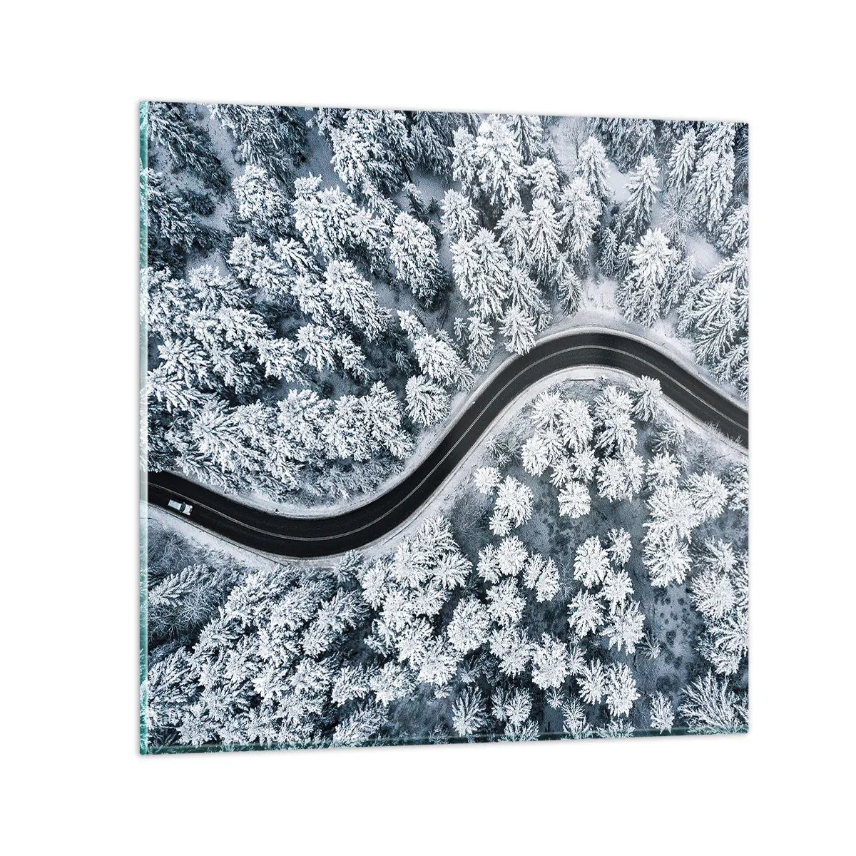 Quadro em vidro - Pelaa floresta no inverno - 40x40 cm
