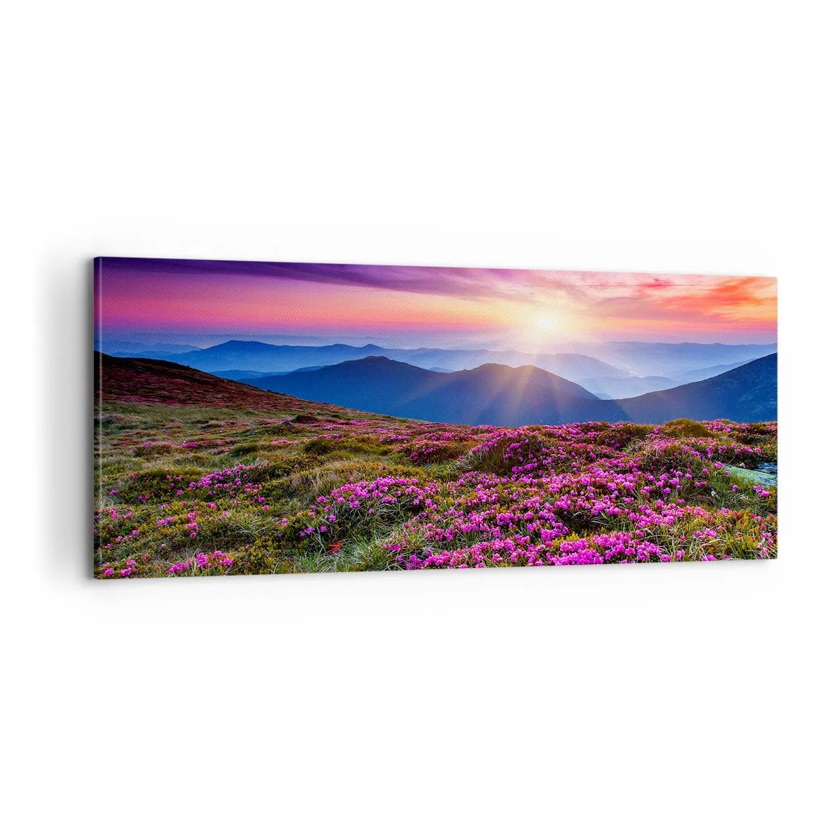 Quadro em tela - Campo cheiroso - 100x40 cm