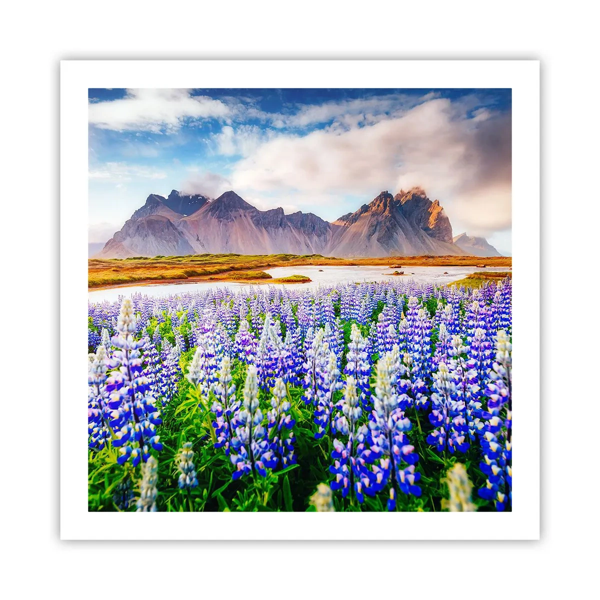 Pôster - Força e severidade ao lado da suavidade - 60x60 cm