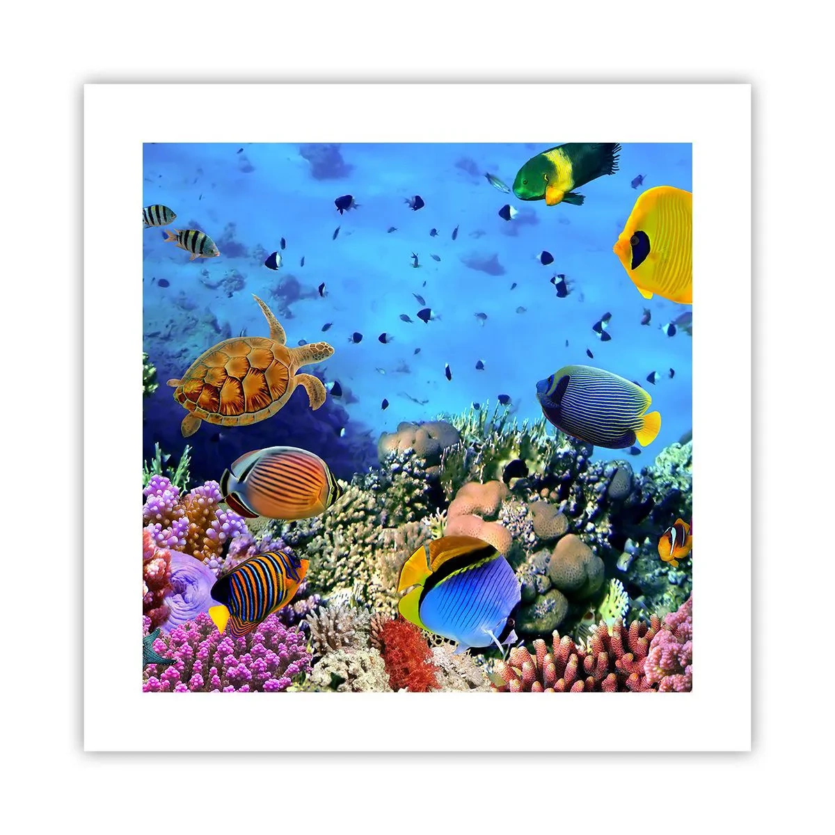 Pôster - E o que sabemos sobre a vida... - 40x40 cm