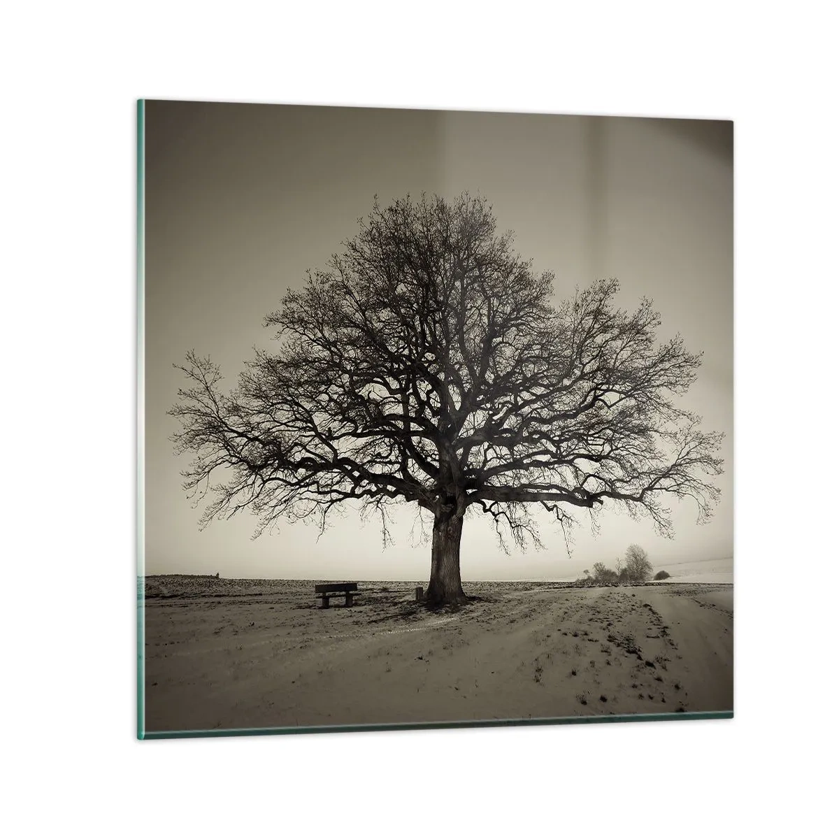 Quadro em vidro - Daqui para a eternidade - 70x70 cm