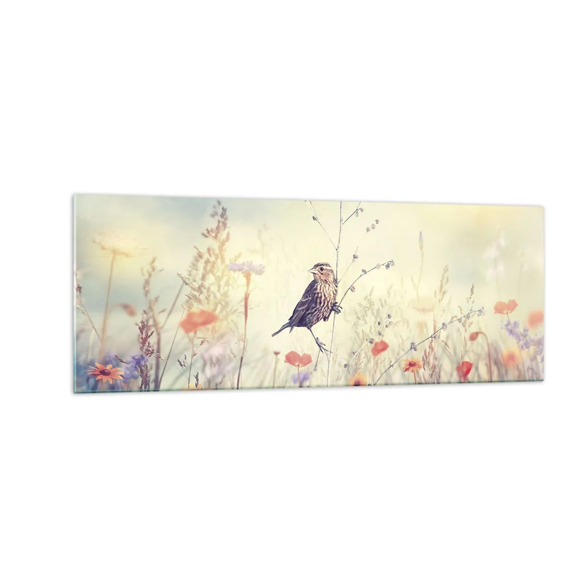 Quadro em vidro - Retrato de um pássaro com um prado no fundo - 140x50 cm