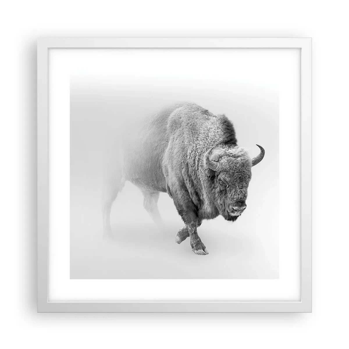 Pôster em moldura branca - Rei da Pradaria - 40x40 cm