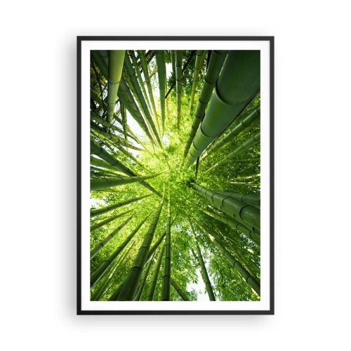 Pôster com moldura preta - Em um bosque de bambu - 70x100 cm