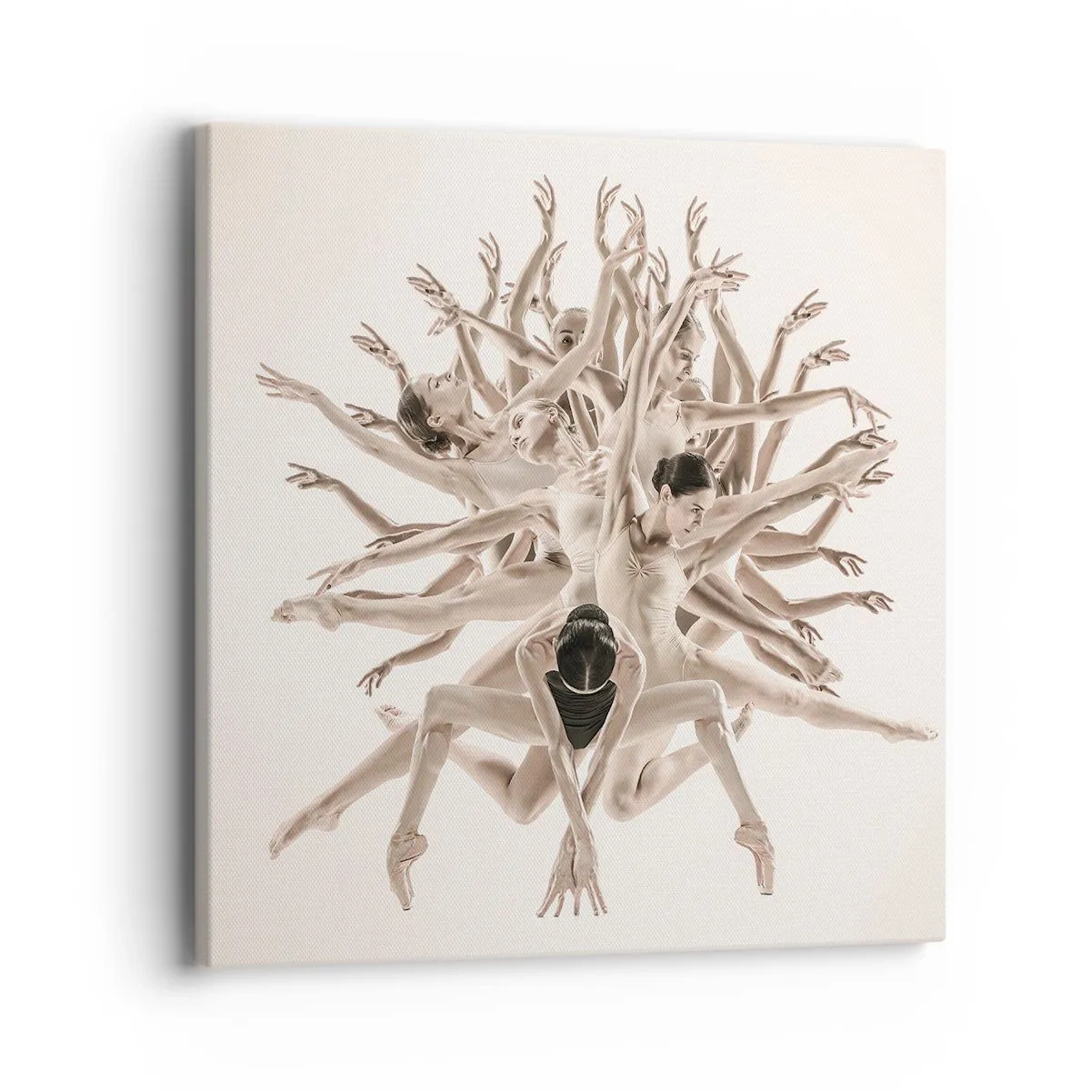 Quadro em tela - Florescendo na dança - 40x40 cm