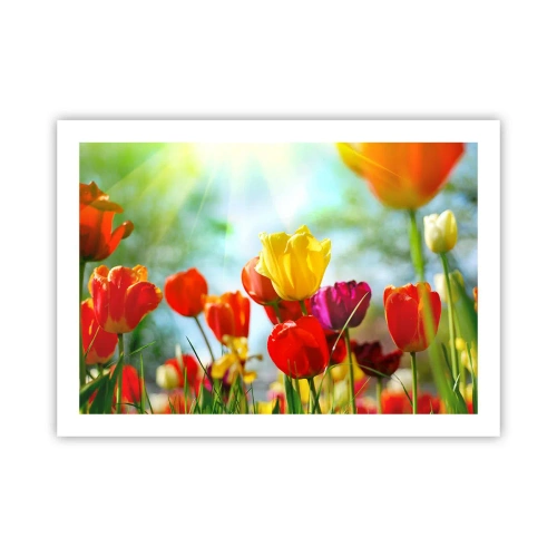 Pôster - Todas as cores do sol - 70x50 cm