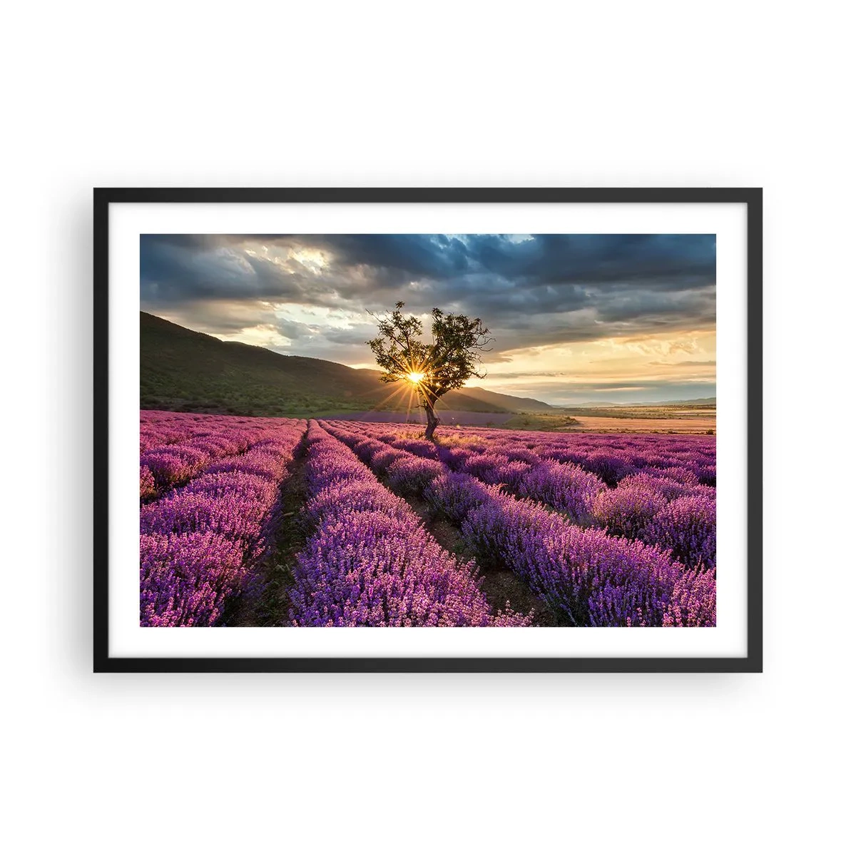 Pôster com moldura preta - Aroma lilás - 70x50 cm