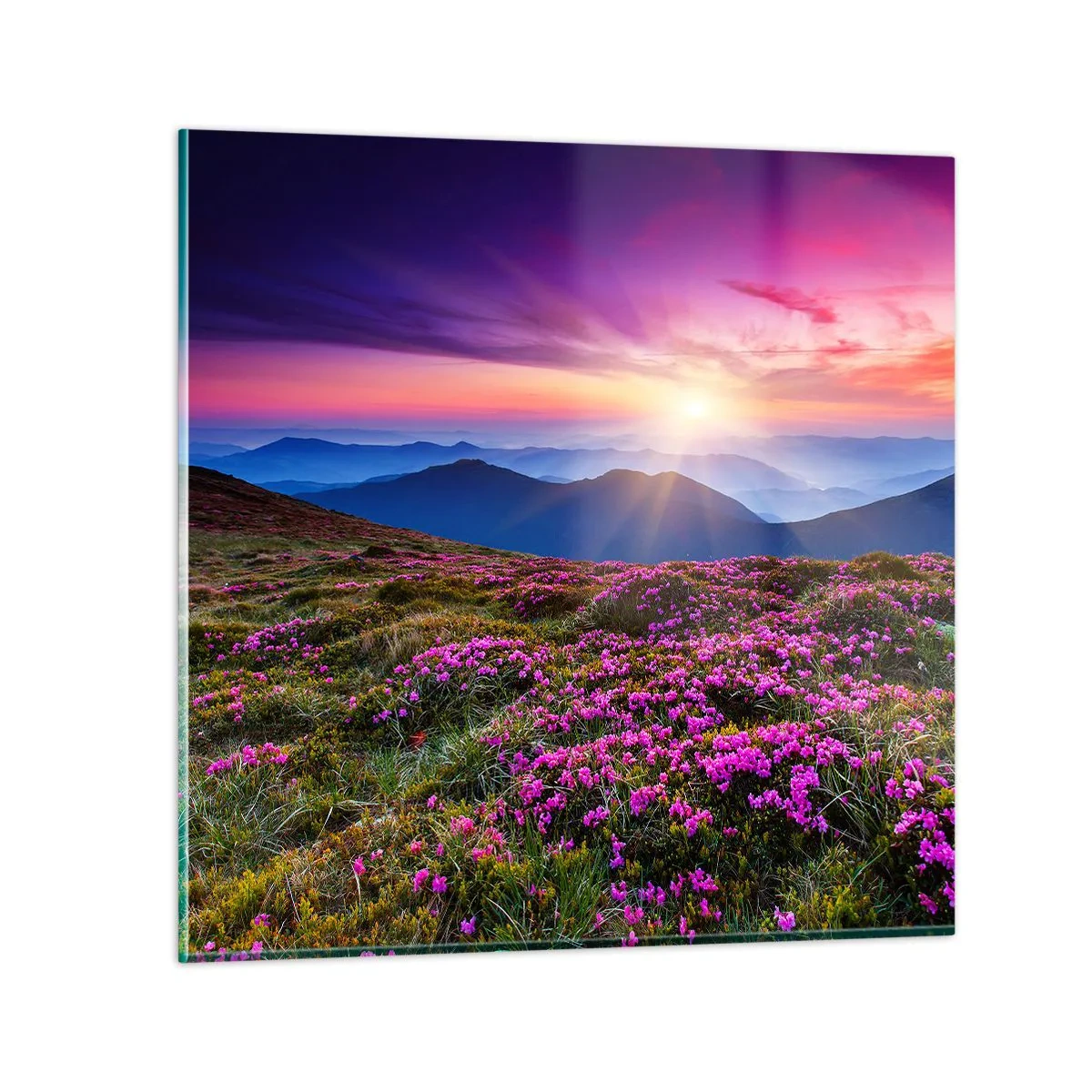 Quadro em vidro - Campo cheiroso - 40x40 cm