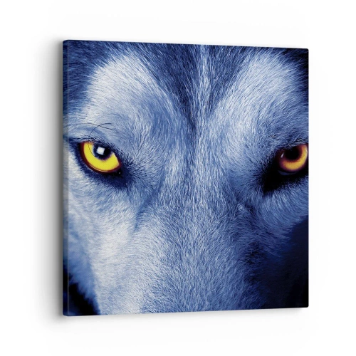 Quadro em tela - Olhar hipnotizante - 30x30 cm