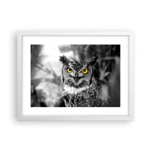 Pôster em moldura branca - Nada pode ser escondido - 40x30 cm