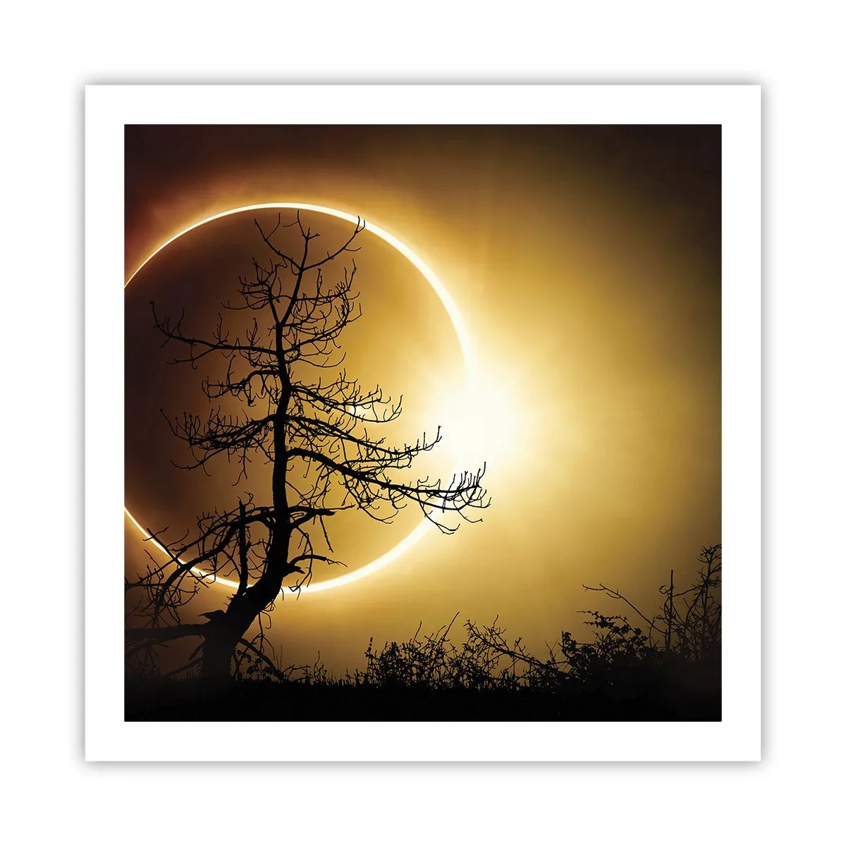 Pôster - Eclipse total - 60x60 cm
