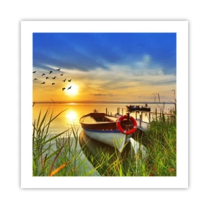 Pôster - Os corvos-marinhos já estão de saída - 50x50 cm