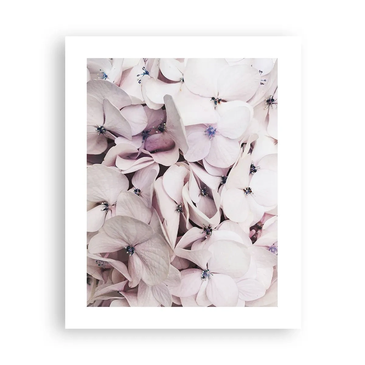 Pôster - Em uma inundação de flores - 40x50 cm