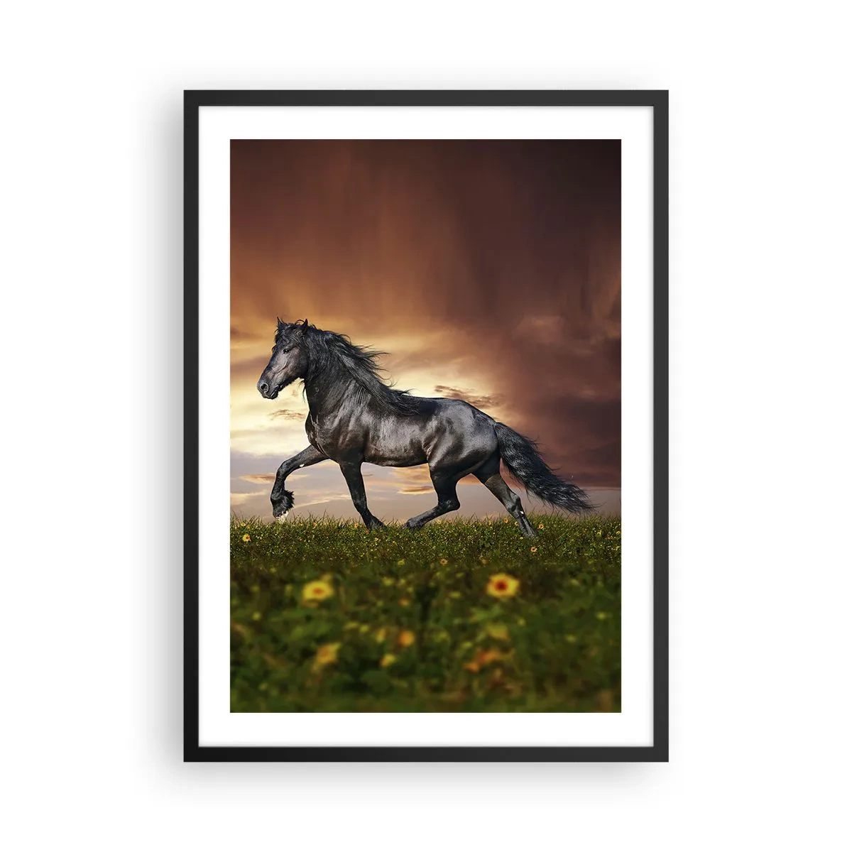 Pôster com moldura preta - Um cavalo preto galopa por um prado à luz do pôr do sol. - 50x70cm - O Príncipe Negro - Decoração de parede moderna para a sala de estar e quarto ARTTOR
