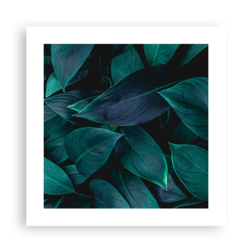 Pôster - Verde em si - 40x40 cm